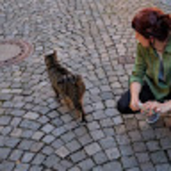 Meet your Posher, Monica - Picture 1 of 1